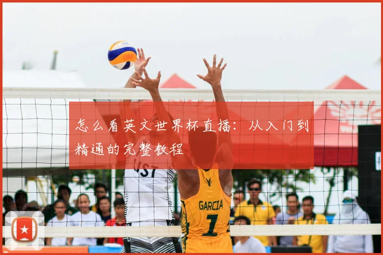 怎么看英文世界杯直播：从入门到精通的完整教程