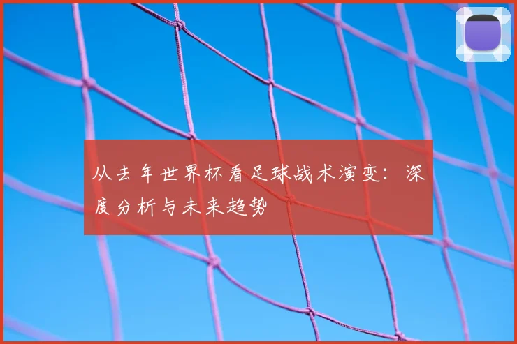 从去年世界杯看足球战术演变：深度分析与未来趋势