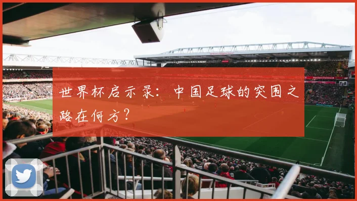 世界杯启示录：中国足球的突围之路在何方？
