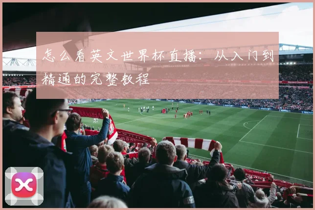 怎么看英文世界杯直播：从入门到精通的完整教程