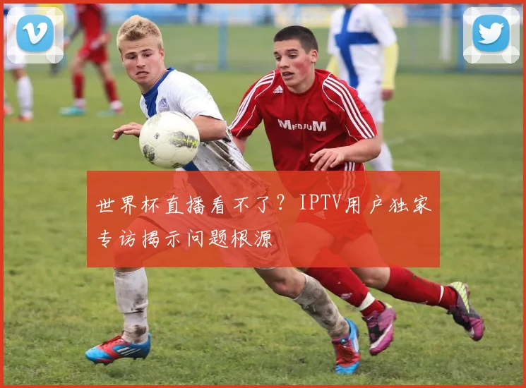 世界杯直播看不了？IPTV用户独家专访揭示问题根源
