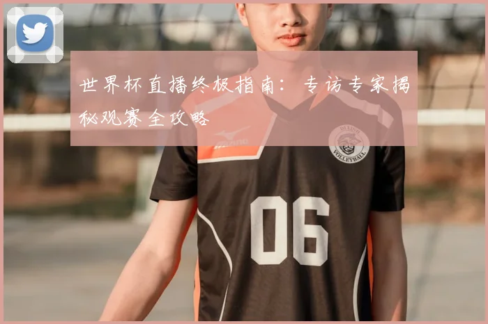 世界杯直播终极指南：专访专家揭秘观赛全攻略